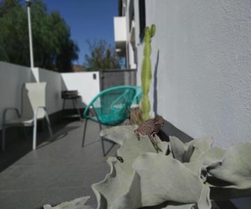 Piedranegra, Apartamento Completo Con Patio, Terraza Y Bbq