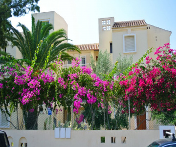 Apartamentos Moguima Edificio Venecia