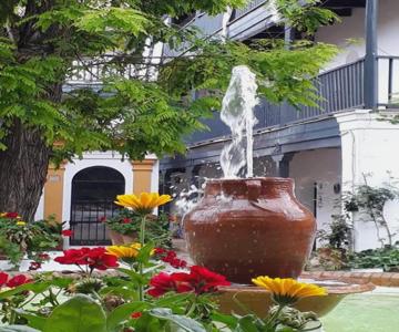 Andalusian Courtyard