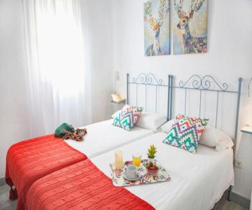Apartamentos Rg Arenal II