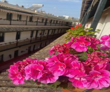 Apartament Alameda Center