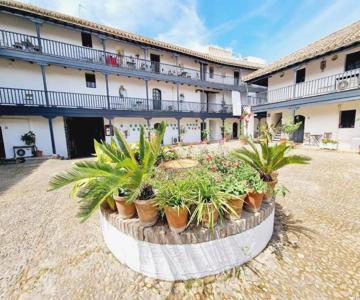Apartamento Con Patio Sevillano