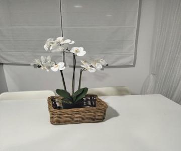 Alojamiento Las Dunas Alto