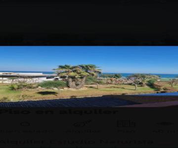 Estudio Naturista