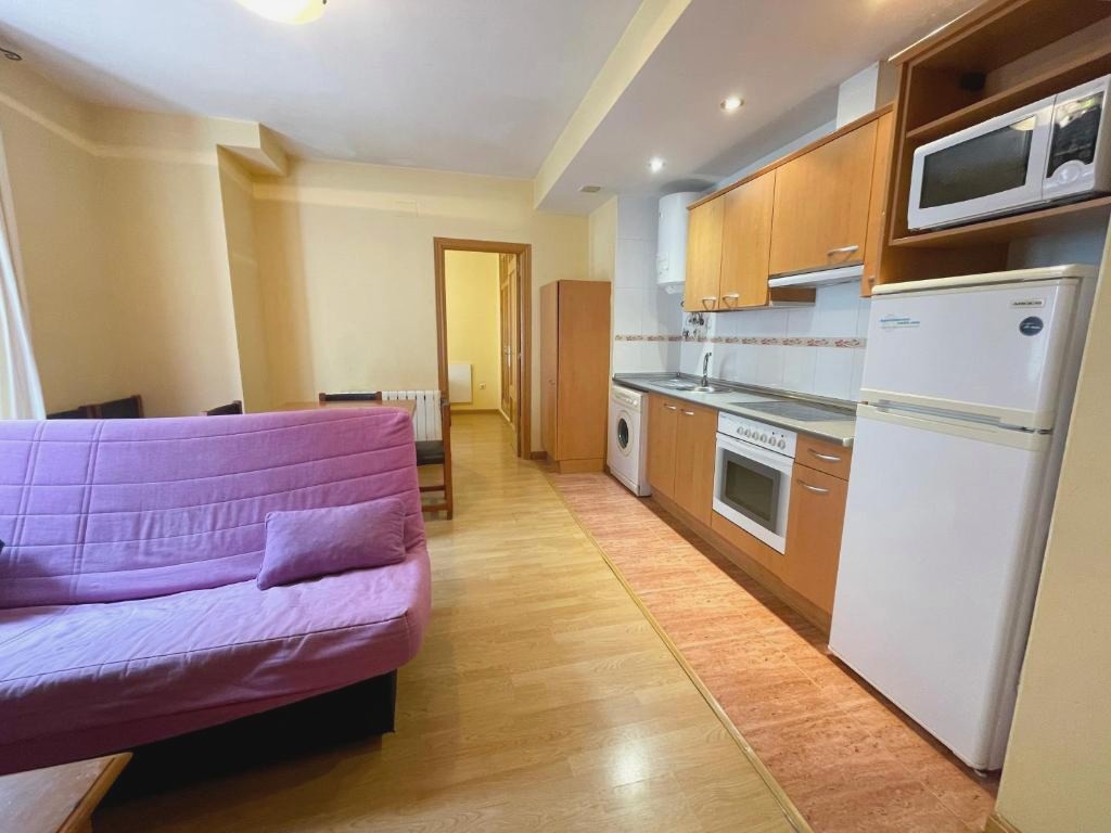 Apartamentos Canfranc 3000