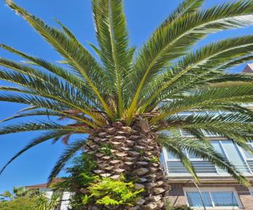 Luminoso Apartamento Playa Ris Con Garaje