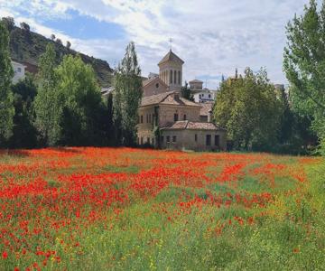 Hospederia Monasterio de Tejeda