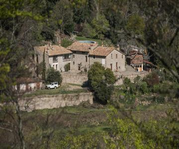 El Buxaus De La Muntanya