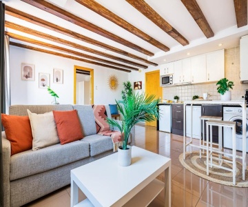 Lodging Apartments Liceu