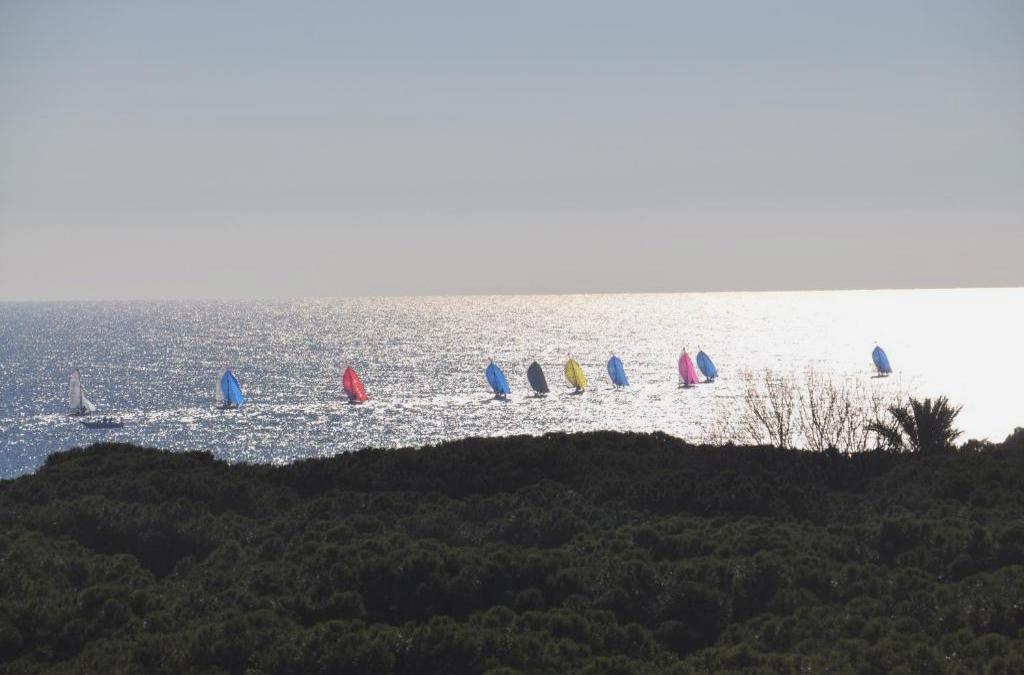 Apartamento En La Torre De S`abanell