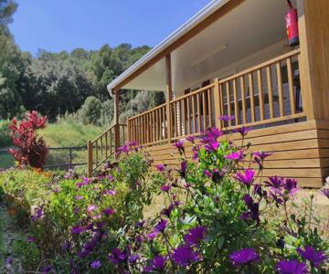 Holiday Home In Calella De La Costa 3641