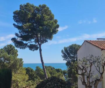 Apartment, Short Walk To The Beach