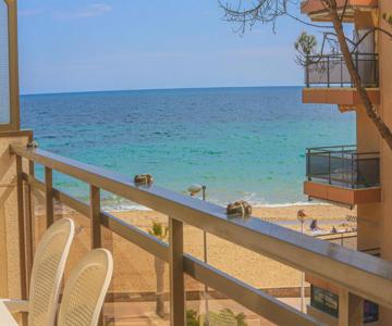 Txingudi - Only Families