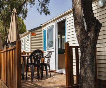 Holacamp Sant Salvador