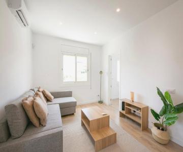 Nice Apartment With 3 Bedrooms