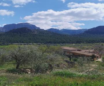 Mas de Manresa