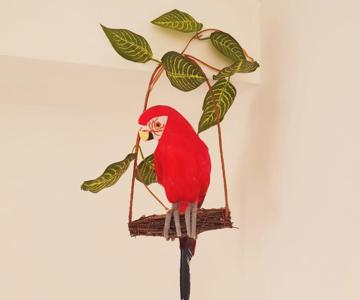 Parrot-s House