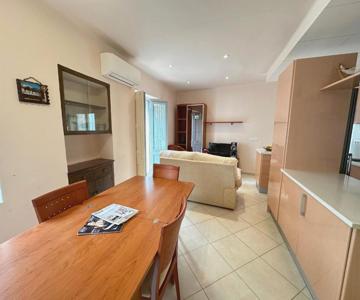 Agi Sant Sebastia 111