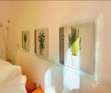 Marina Port Daro Sa Conca