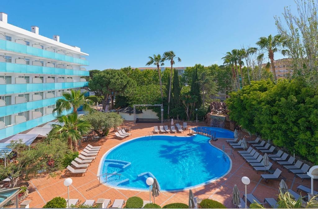 H10 Delfin - Adults Only