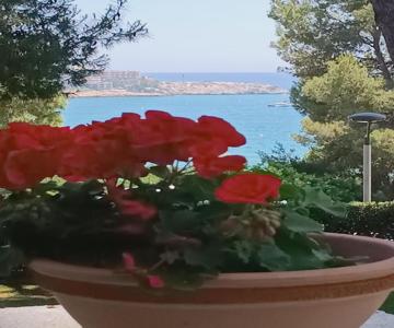 Beach & Flowers Free Parking