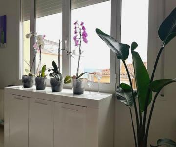 Cute And Comfortable -c&c-hutt-010593