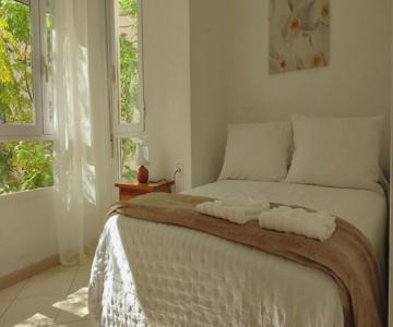 Mercado Central - La Casa Del Arbol