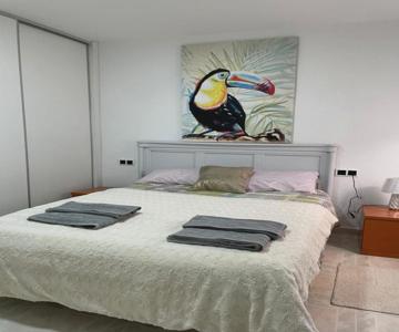 Habitación Sol Connect