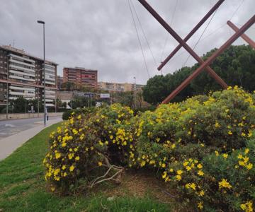 17-habitacion Del Piso