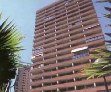 Benidorm Paraiso