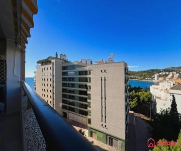 Bello Amanecer En La Concha