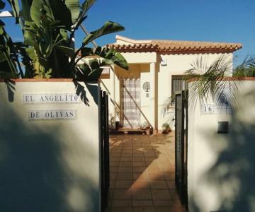 Guest House El Angelito De Olivas