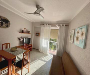 Apartamentos Ismael. Isabel