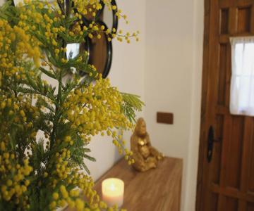 Alojamiento Turistico Lavid