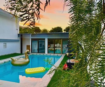 Kiwidestiny Alicante