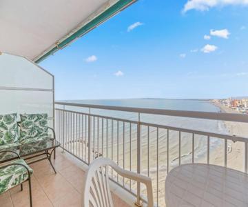 Sunflower Costa Blanca