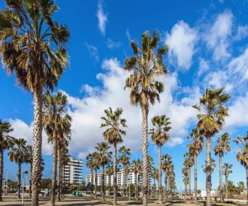 Valencia/mare Nostrum