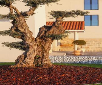 Hotel Rural Finca La Desa