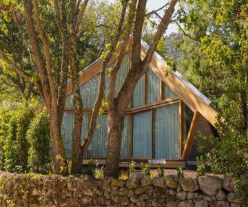 Cabañas De Xarás, Mimosa