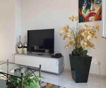 Apartamento Plaza Del Parque