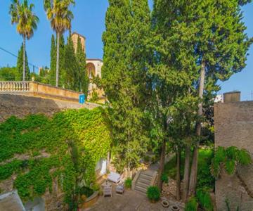 Arta - 4337 Mallorca