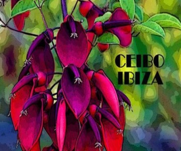 Ceibo Guest House Ibiza