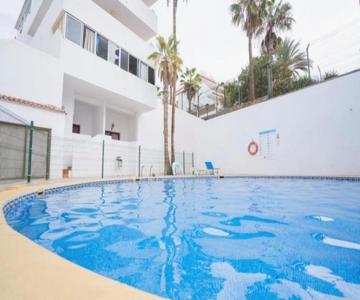 Las Americas Cattleya