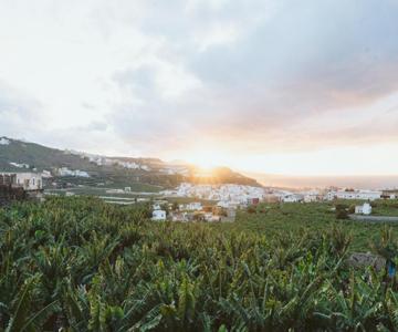 Tortuga Blue House In Banana Plantation