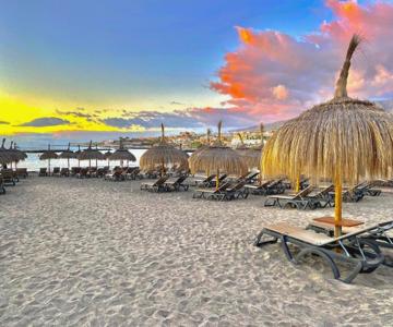 Fantastic Seaside Studio