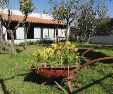 Casa Rural LimÓn Y Sol