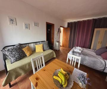 Estudio Con Terraza