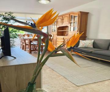 Piso Céntrico Corazón De Aridane