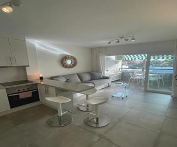 Apartment Palm Tree View