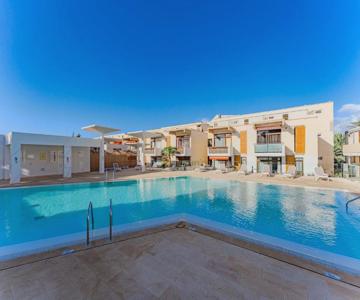 Piteras101 Las Americas